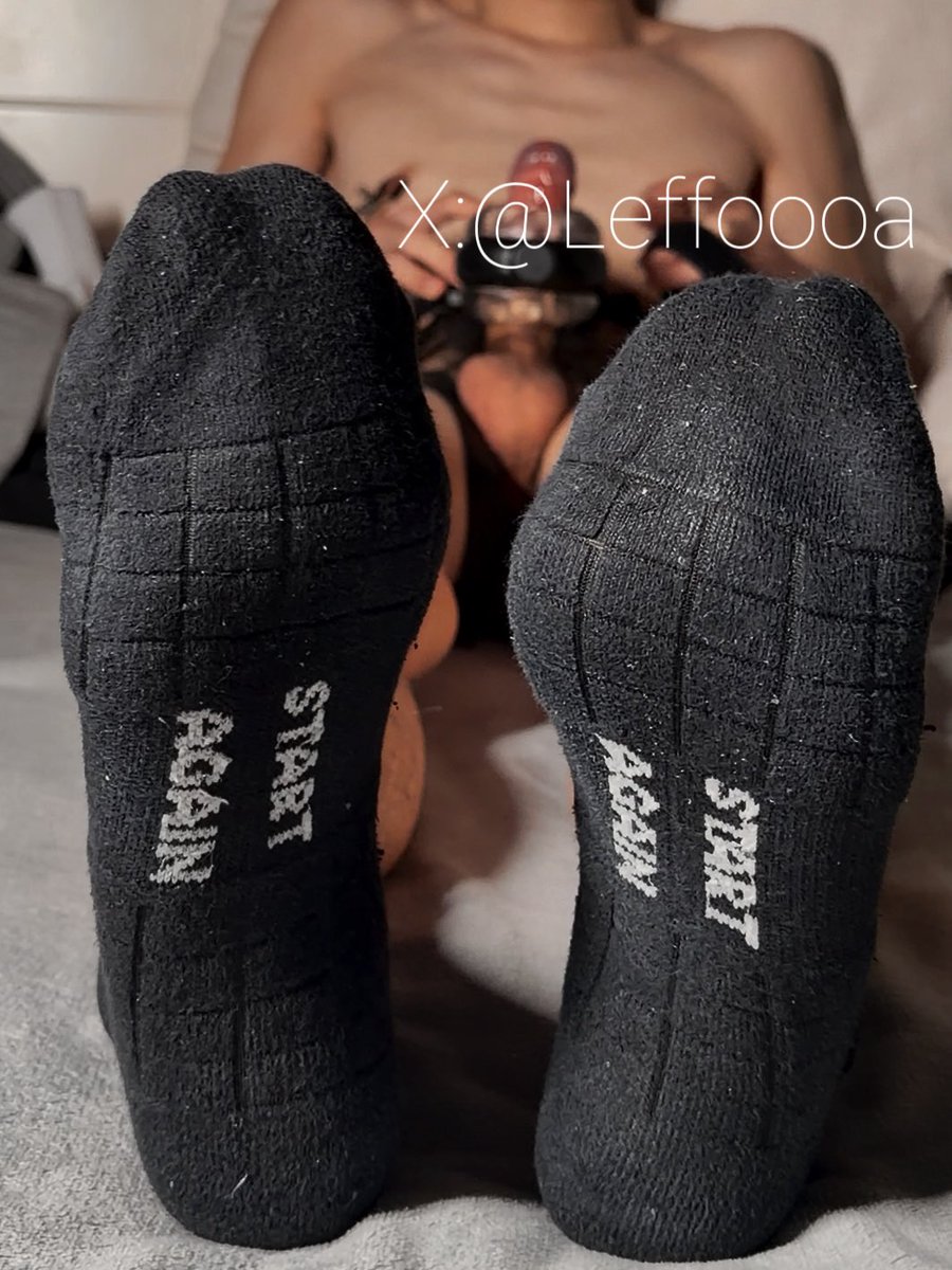 荷斯坦牛 tweet media