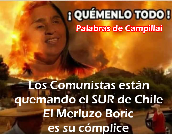 Los impactantes videos de los devastadores incendios en Ñuble y Biobío ino.to/pbJWXMD