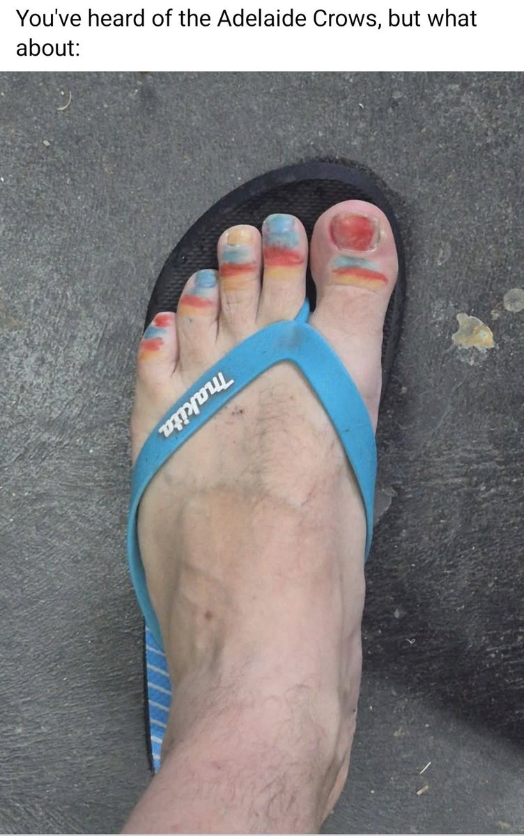 rishgoon's tweet image. Feel free to use this one @Adelaide_FC