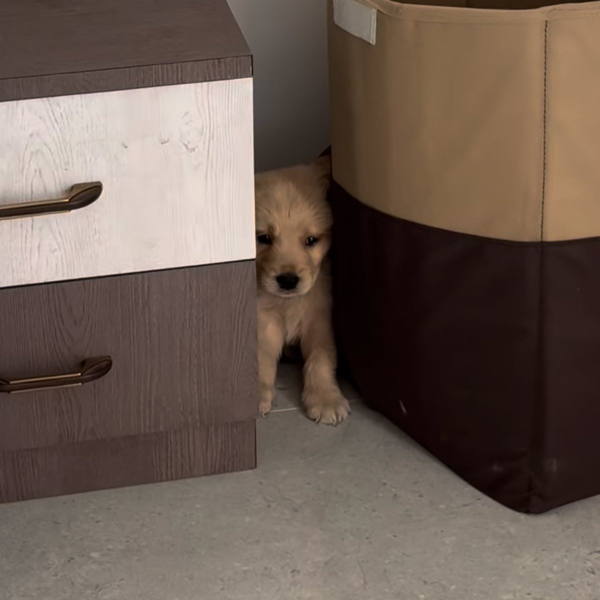 takemybear's tweet image. ชั้นเปนเด่กดี เทอไม่ทิ้งชั้นหรอก ใช่มั้ย 🥺