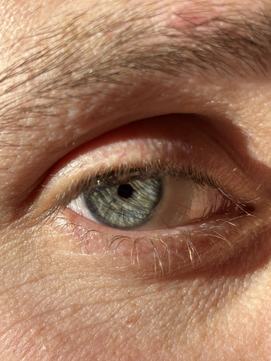 𝒶𝓀𝒾𝓇𝐸 tweet media