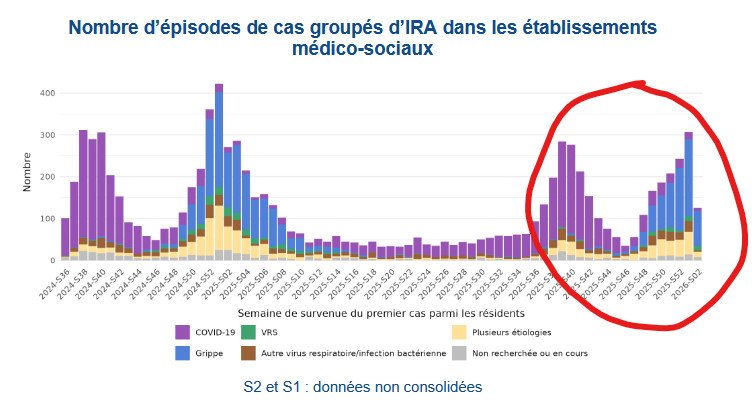 Plus de 2 000 clusters d'infection respiratoires aigües ont été recensés en Ehpad depuis le début de l'automne 👇🏻

🟣 Un tiers liés au #Covid19 (surtout avant l'hiver)
🔵 Un tiers liés à la #grippe (surtout depuis l'hiver)
🟢 7% liés au VRS
🟡 Le reste lié à plusieurs pathogènes