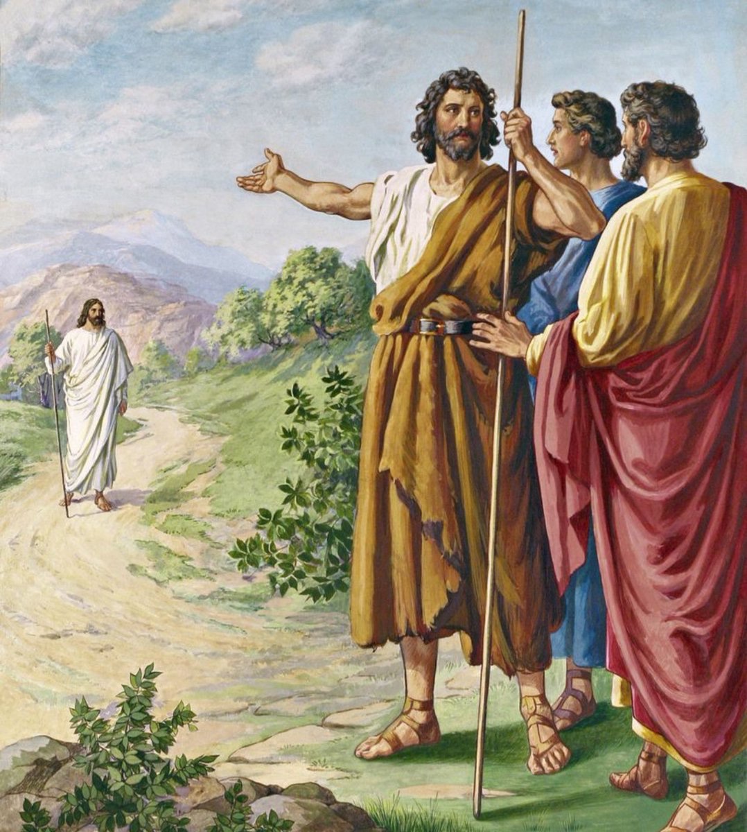 Catholic Life tweet media