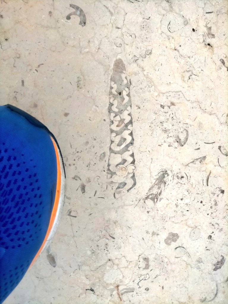 Tim Webster tweet media