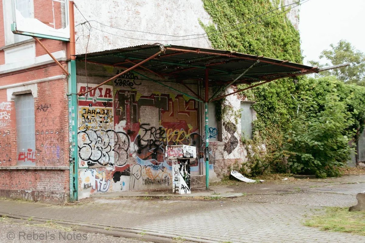 Marie A. Rebelle tweet media