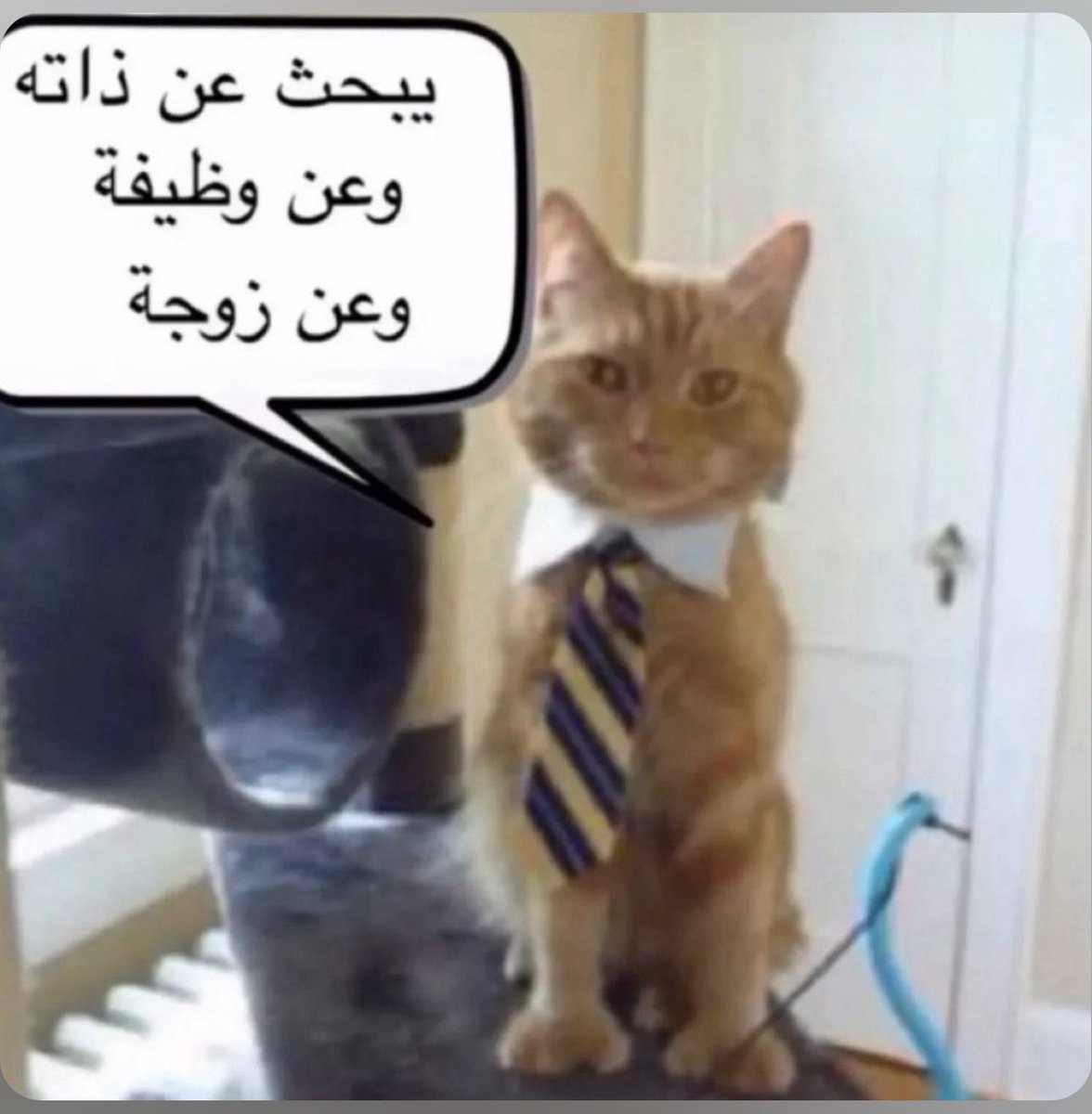 باقي الاخيرة بس ⏳