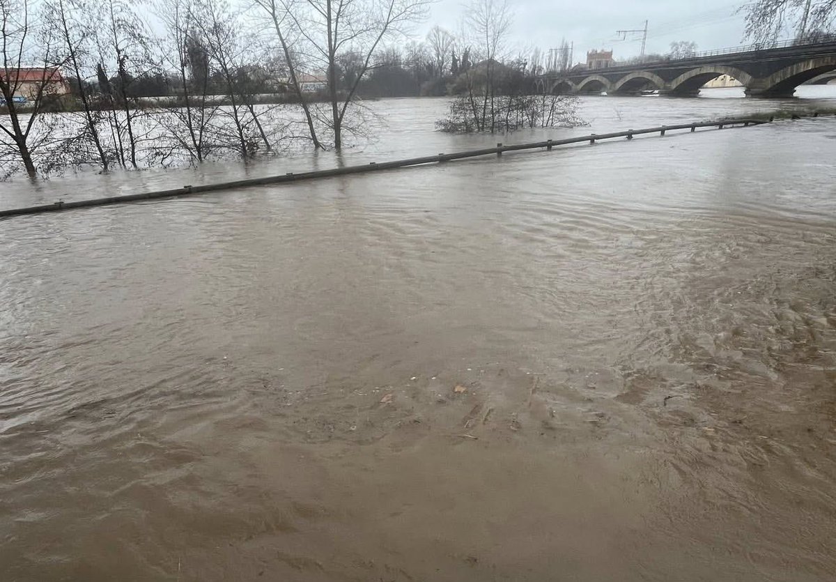infoccitanie's tweet image. 🔴 En direct de #Béziers ou l’Orb sort de son lit. Le pic de #crue n’est pas encore atteint, il aura probablement lieu en soirée ou la nuit prochaine ! #inondations