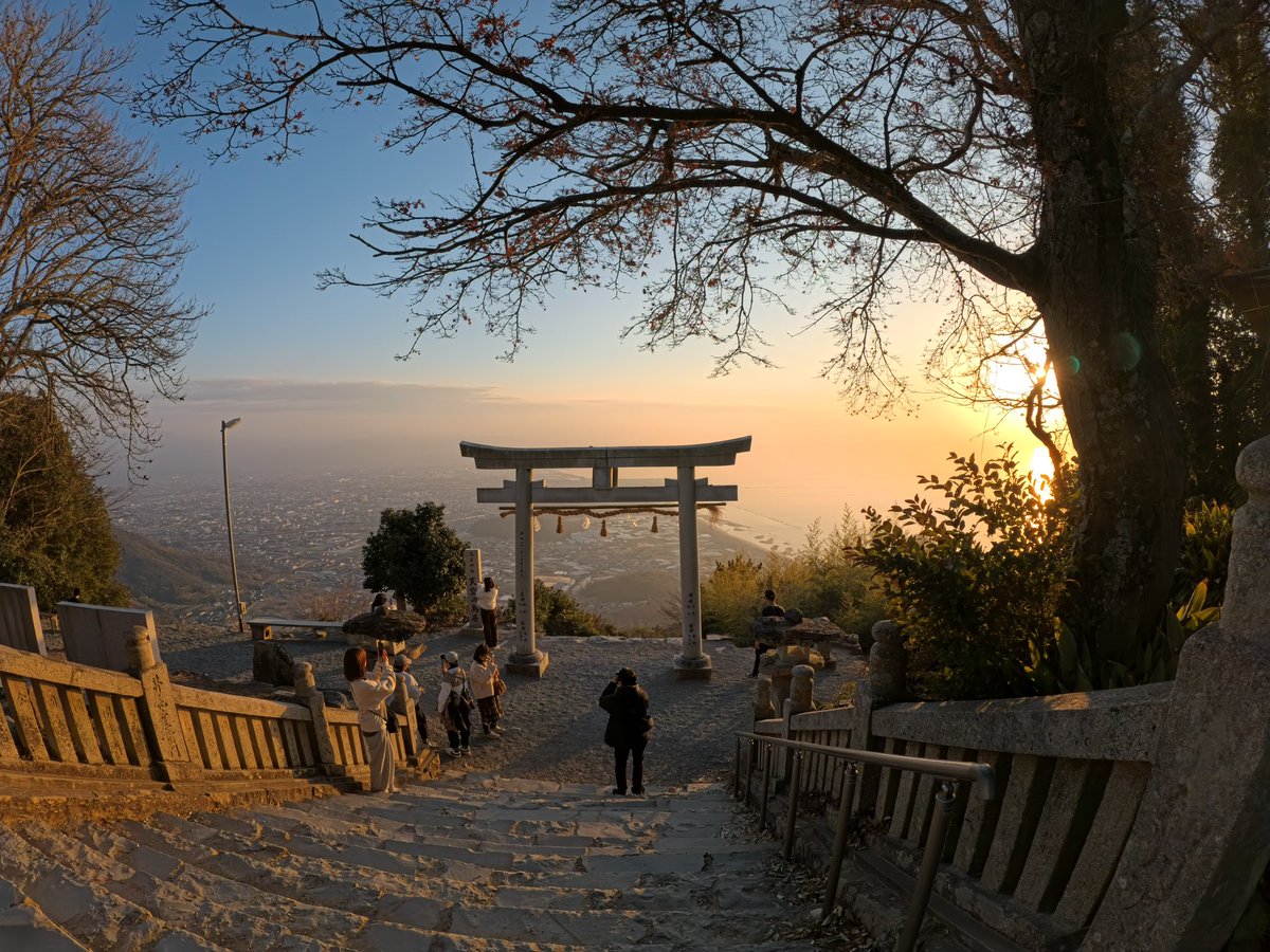 arrowCate: あろけーと tweet media