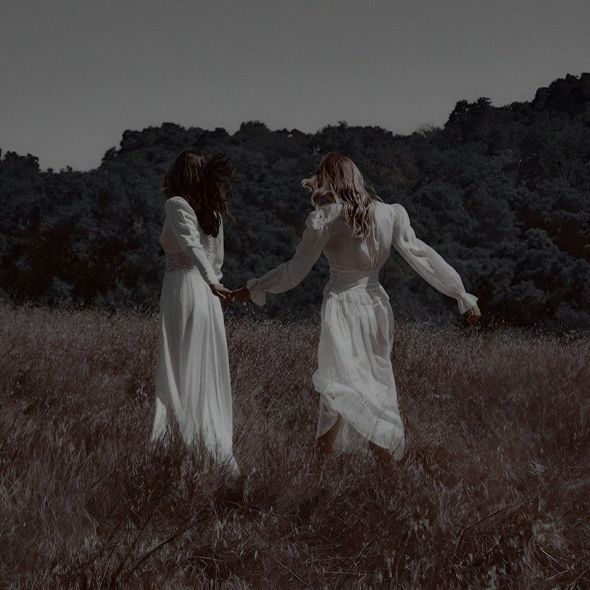 ᅠ ᅠ ᅠ ٬ᅠᅠ𝓜𝙰͟𝙶͟𝙶͟𝙸͟𝙴ᅠ𝓣𝚁͟𝚄͟𝙼͟𝙰͟𝙽ᅠ. tweet media