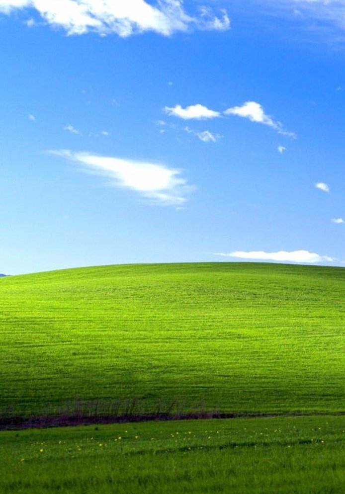 johniscool7's tweet image. 会社の帰りに寄ったスーパーで見切り品のお弁当が半額になってて、つい買ってしまった 🤏