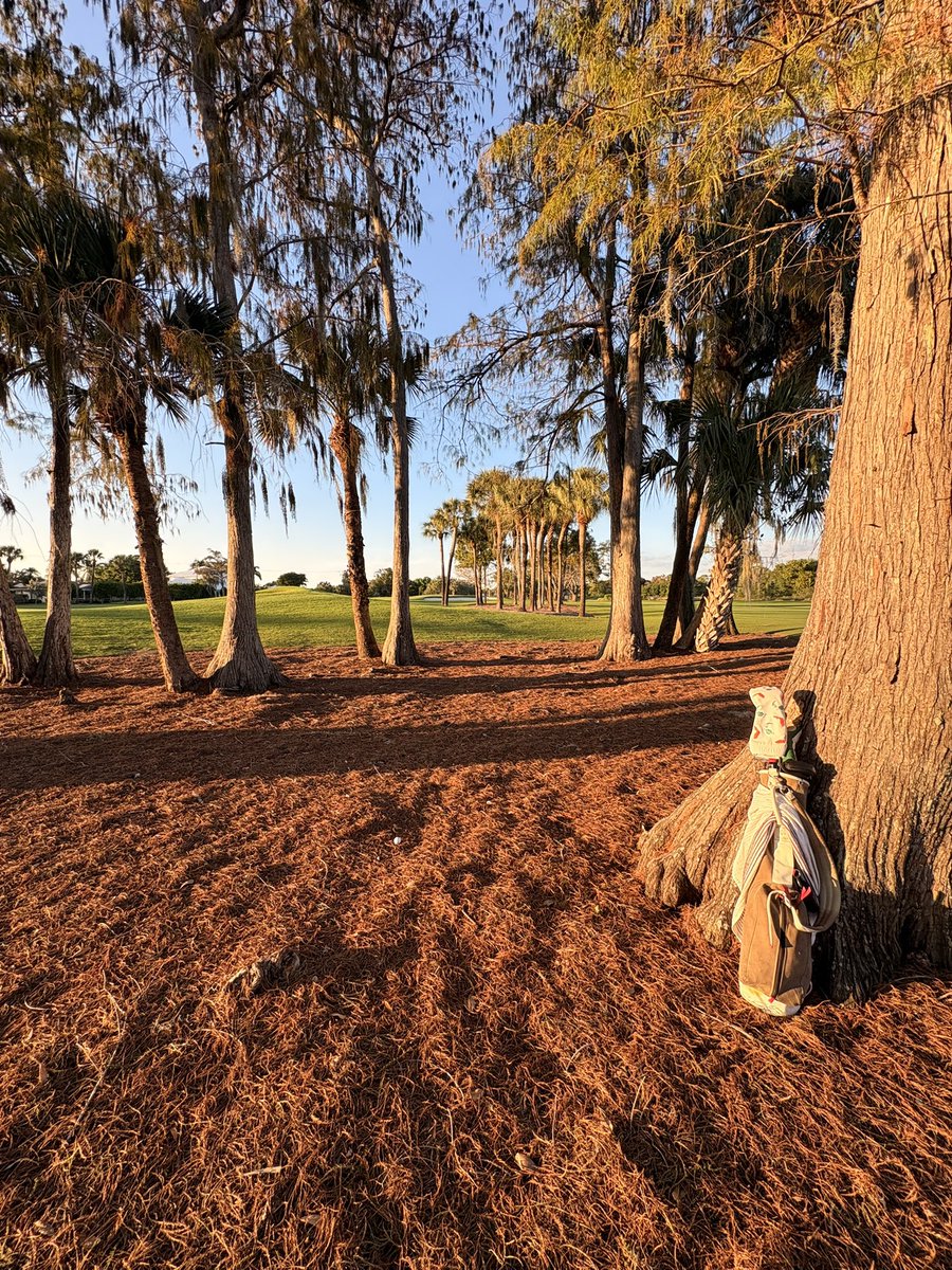 Ronald Doss tweet media