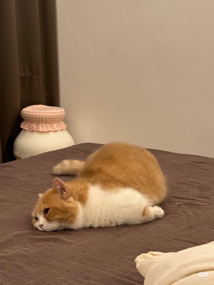 :-)
In the end, the strongest ones are 
those who can handle their own 
emotions.

สุดท้ายแล้ว, คนที่เก่งที่สุด ก็คือคนที่อยู่
กับความรู้สึกของตัวเองได้ดี.

#แคปชั่นภาษาอังกฤษ #แคปชั่นคำคม
#คําคมความรู้สึก #คําคมภาษาอังกฤษ