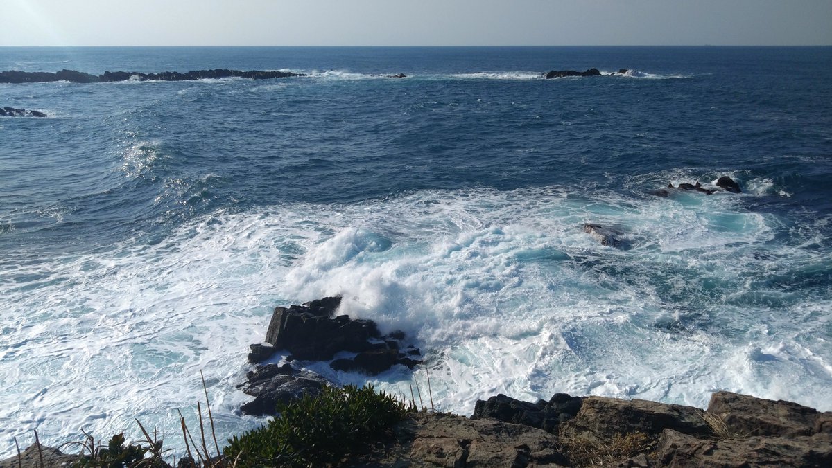 Ika_Chili's tweet image. 今日は海見てきた