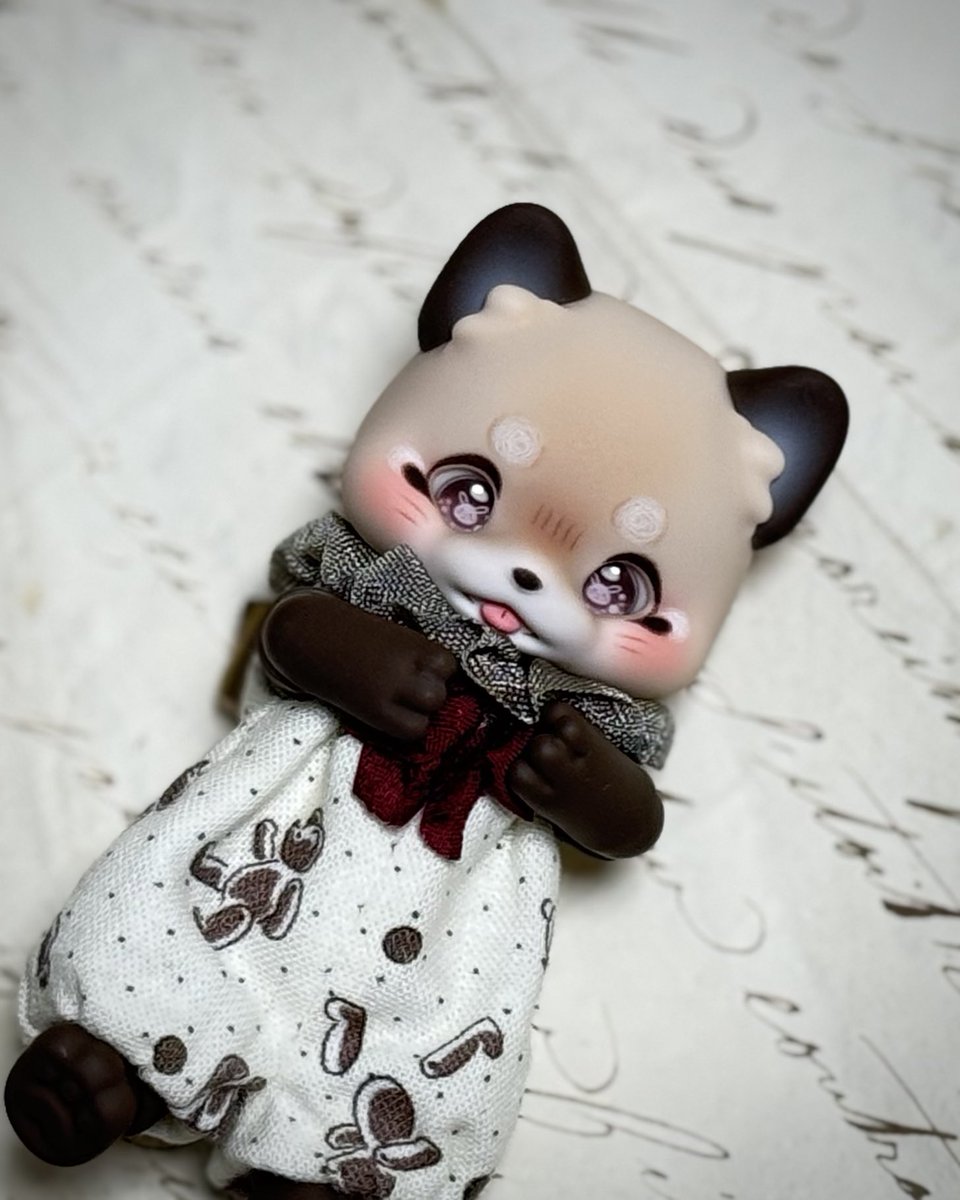 まち Su'Zoo🌗ミニチュアモールベア🧸 (@machisuzu96) / Posts and