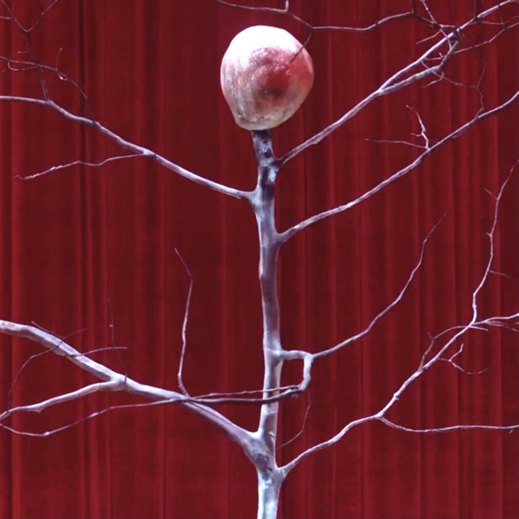 hogushogus hogus hogus (petite bitch) hogus hogus tweet media