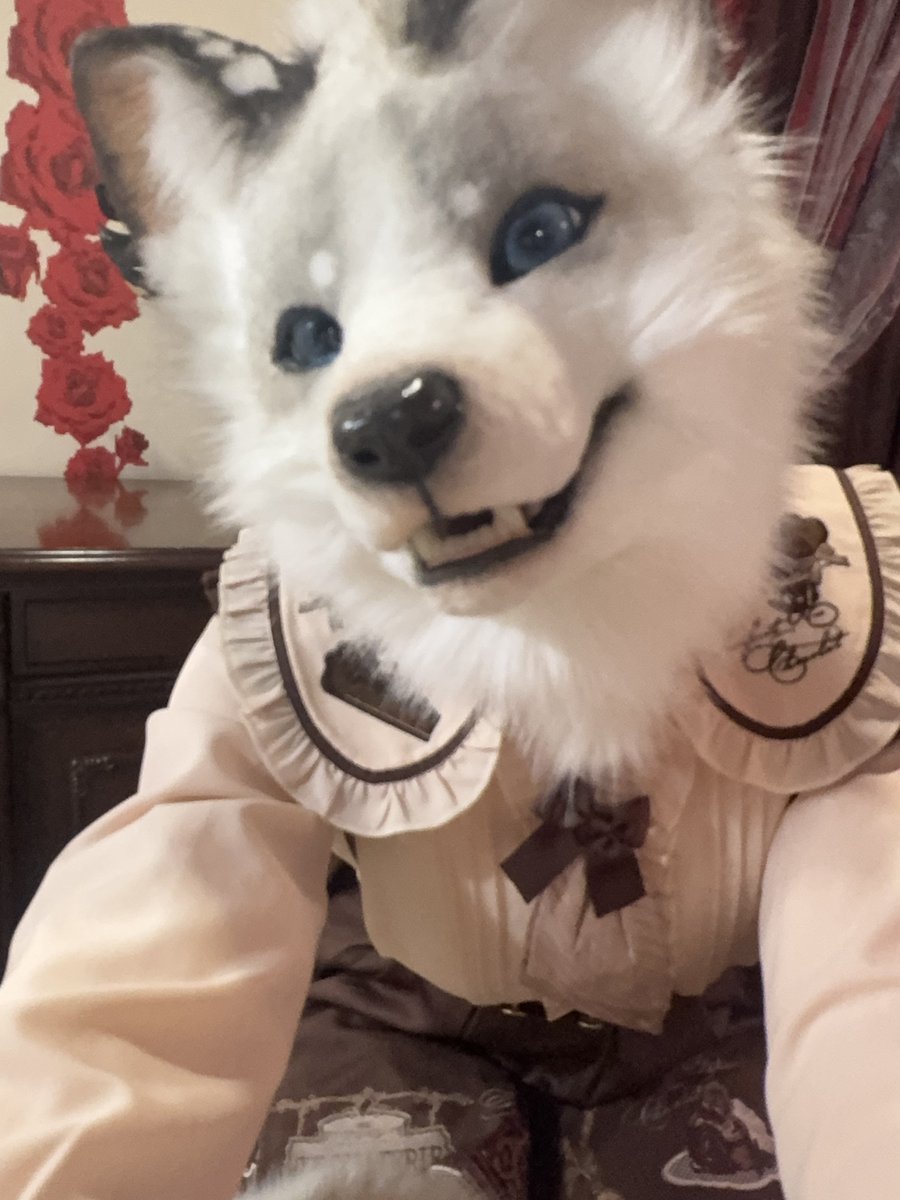 #可愛い顔と怖い顔を使い分けてフォロワーを怖がらせましょう
どちらも思ってることは一緒よ(ㆆωㆆ)💕
「美味しそう」って💕🍫