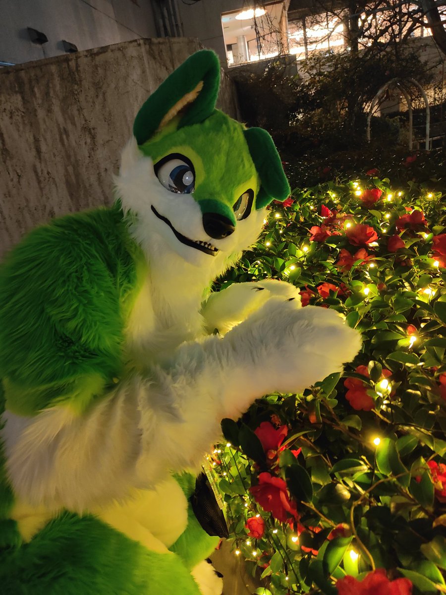 #JMoF2026
外のキラキラした場所でブラッシュさんを撮れた！可愛い……