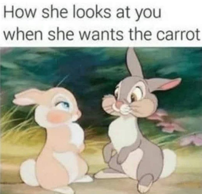 tx_firefly's tweet image. 😇