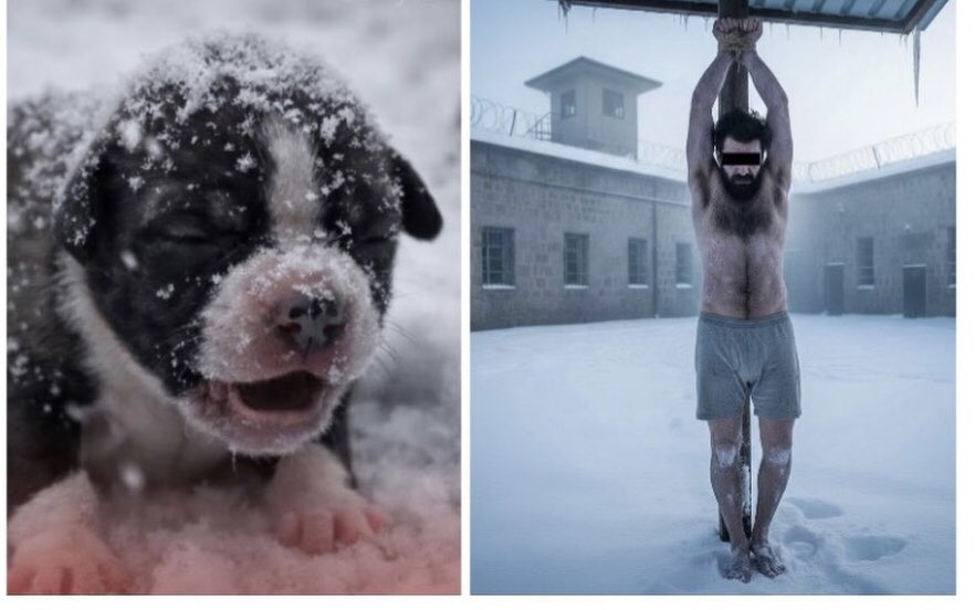 ajanswiki's tweet image. Tunceli'de yeni doğmuş bir köpek yavrusunu kar üzerinde bekleterek eziyet eden D.C.V gönderildiği ceza evinde mahkumlar tarafından dondurucu soğukta direğe bağlandı.