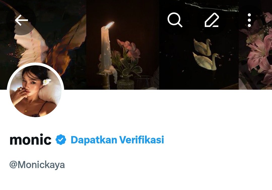 mayapremy's tweet image. 4k