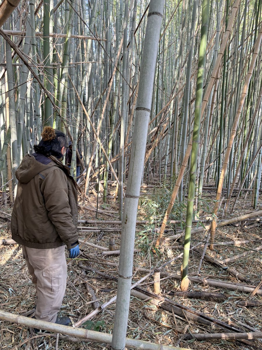 中井ペイント@静岡市浜松市 tweet media