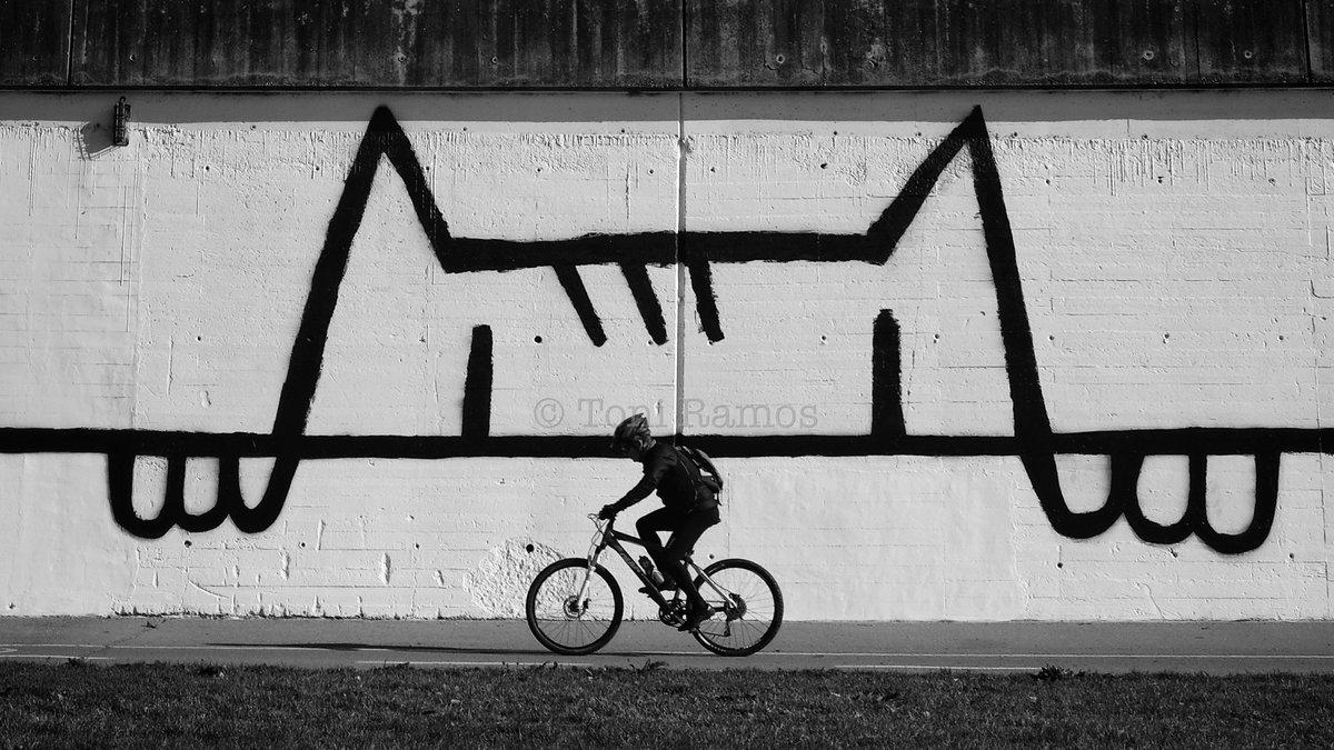 𝒄𝒐𝒃𝒊 a #SantaColoma