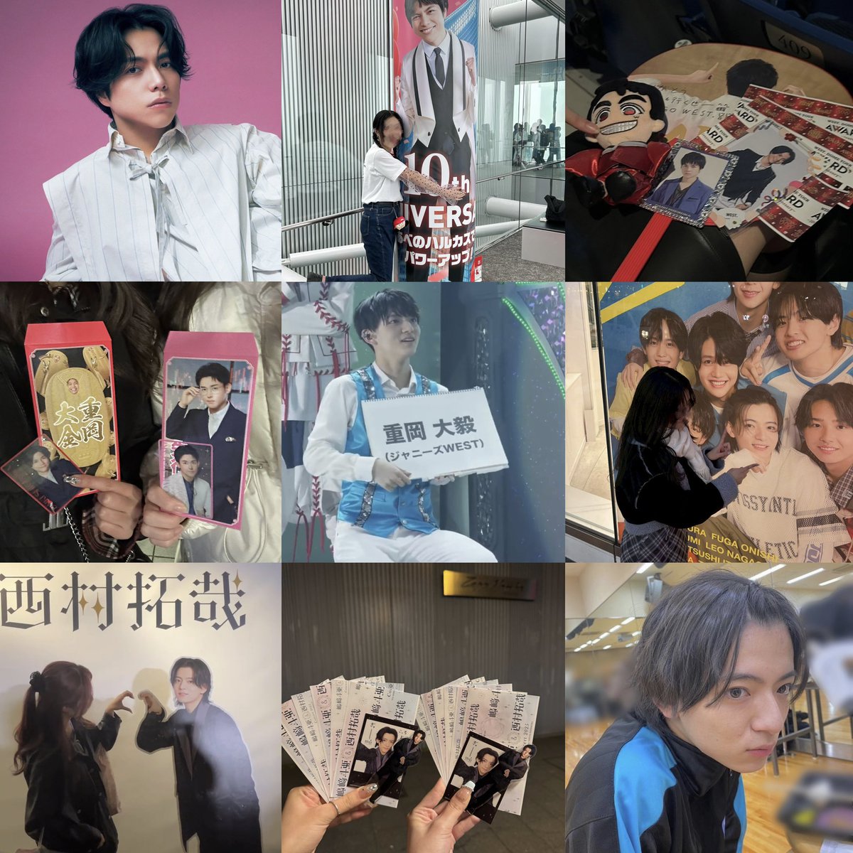 🌼 tweet media