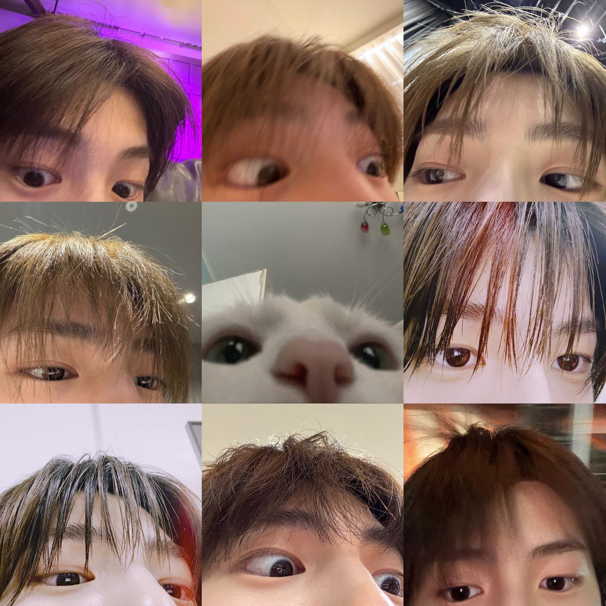 เซลก้าน้องจูนโดยเฉลี่ย แมวเหมียววงคอติส 🐈