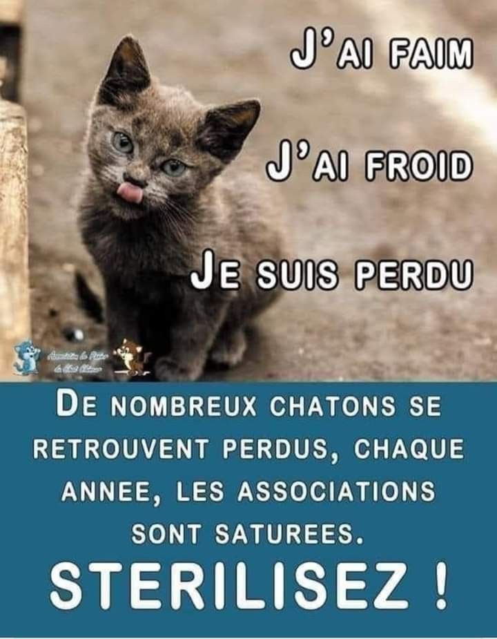 Pbe95's tweet image. 