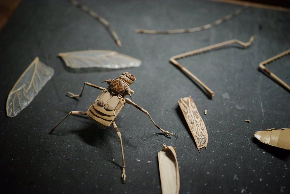 齋藤 徳幸 BAMBOO INSECTS 昆虫竹細工 (@noriji_s) / Posts / X
