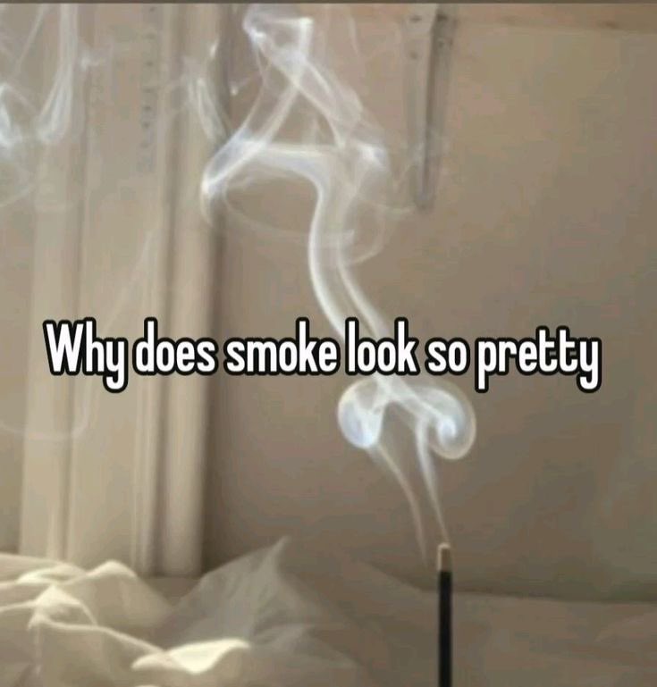 llpipi's tweet image. 