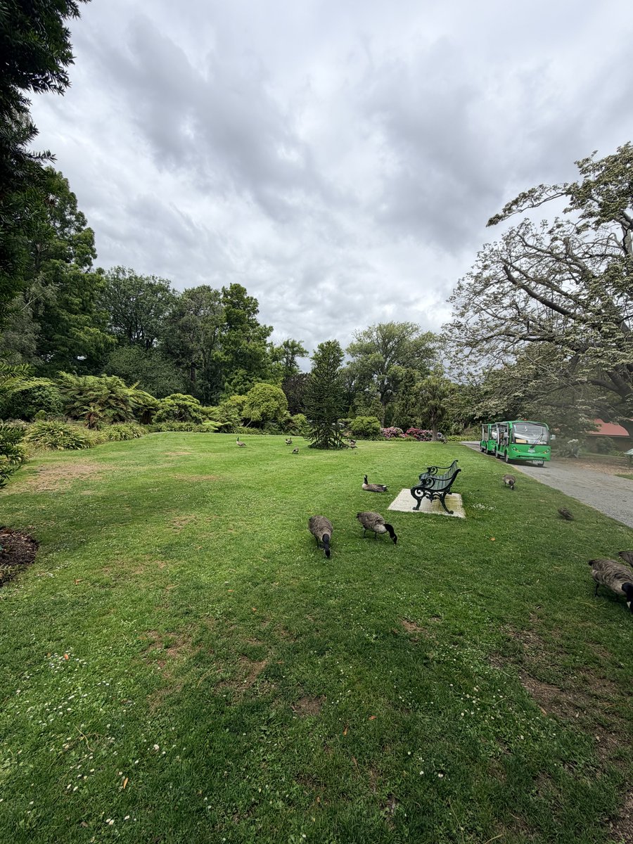 💫✨Lexi Luck✨💫 tweet media