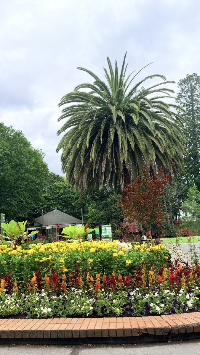 💫✨Lexi Luck✨💫 tweet media