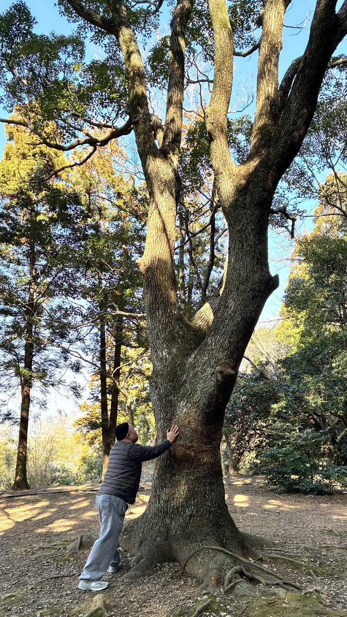 久しぶりの一番
今のところ全敗