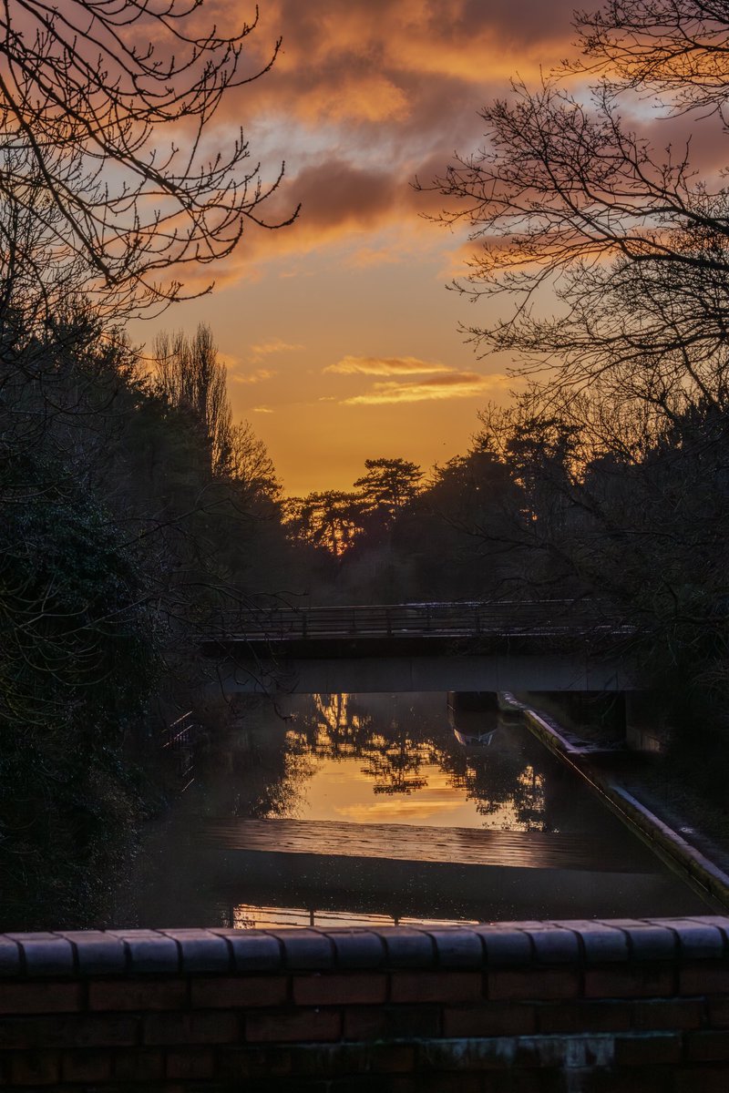 Greg Charman tweet media