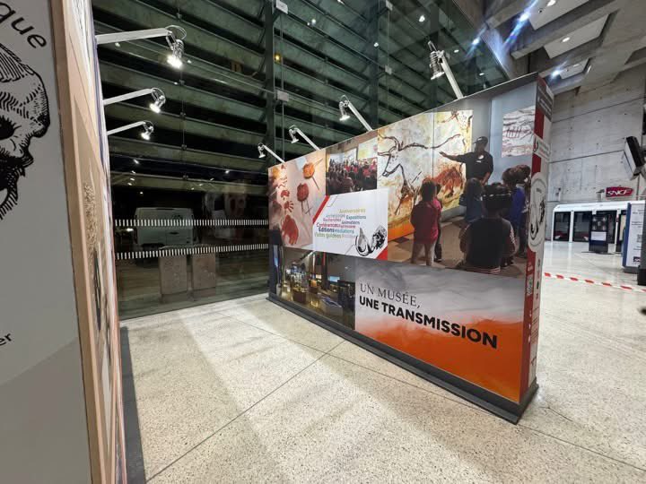 Musée d'Anthropologie préhist. de Monaco tweet media