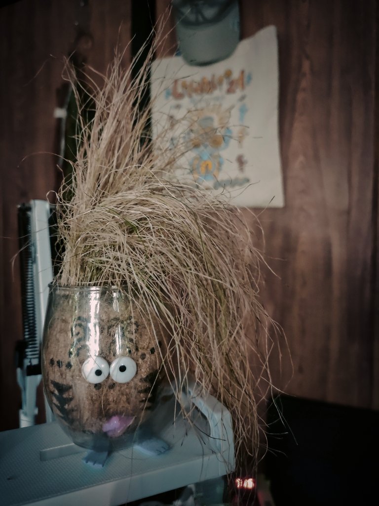 megu. (@VMBfxdDFgF76u9z) / Posts / X