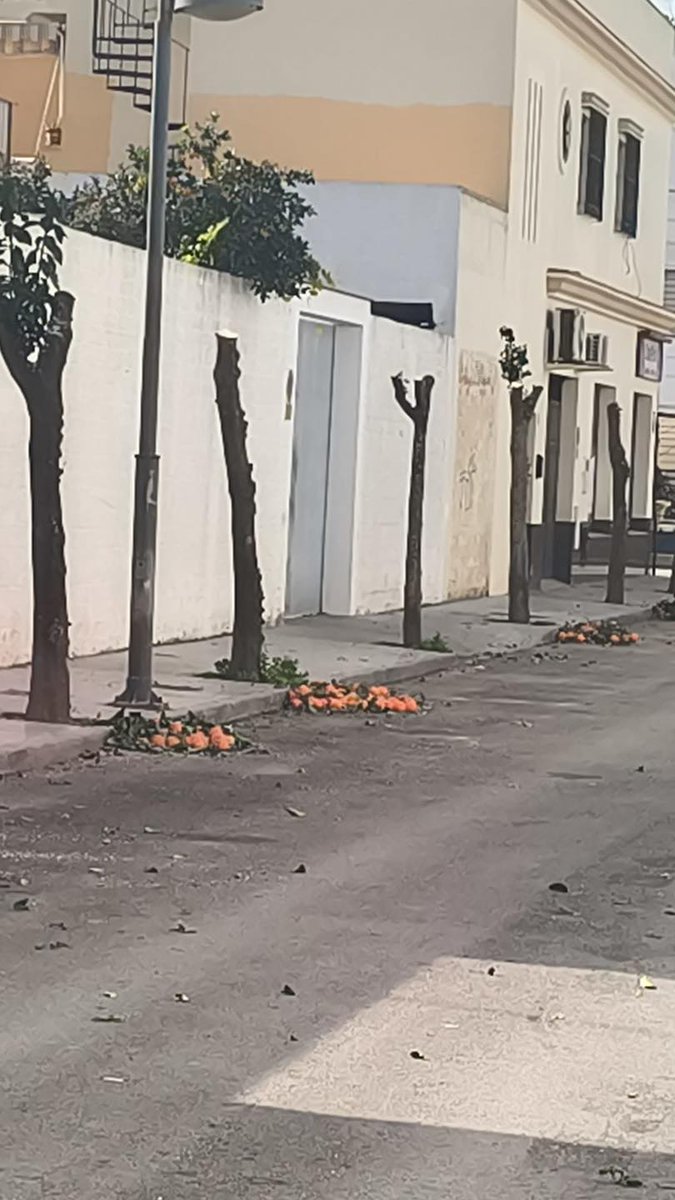 Los Árboles Mágicos ®️, (by Oscar Gaitan) tweet media