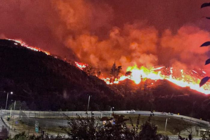 Cadena perpetua a los pirómanos!
Todos los veranos sufrimos con estos enfermos, mal nacidos.
#incendio #EstadodeCatastrofe #concepcion #florida #penco