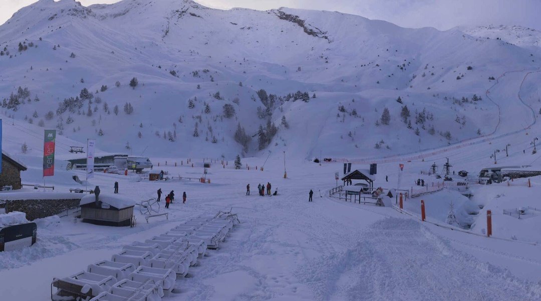 Dani Mora tweet media