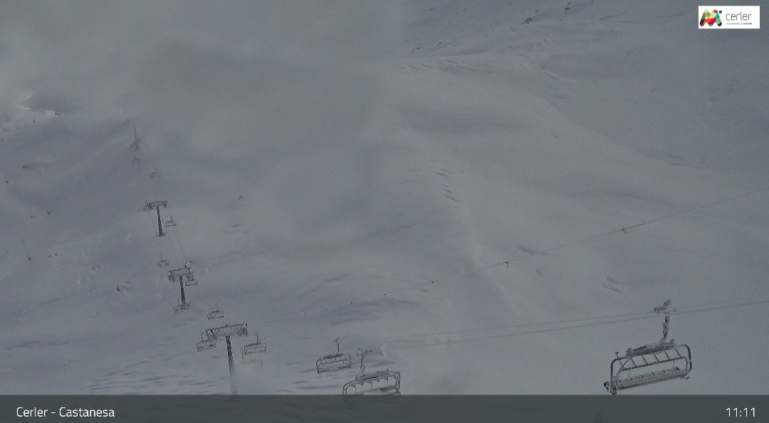 Dani Mora tweet media