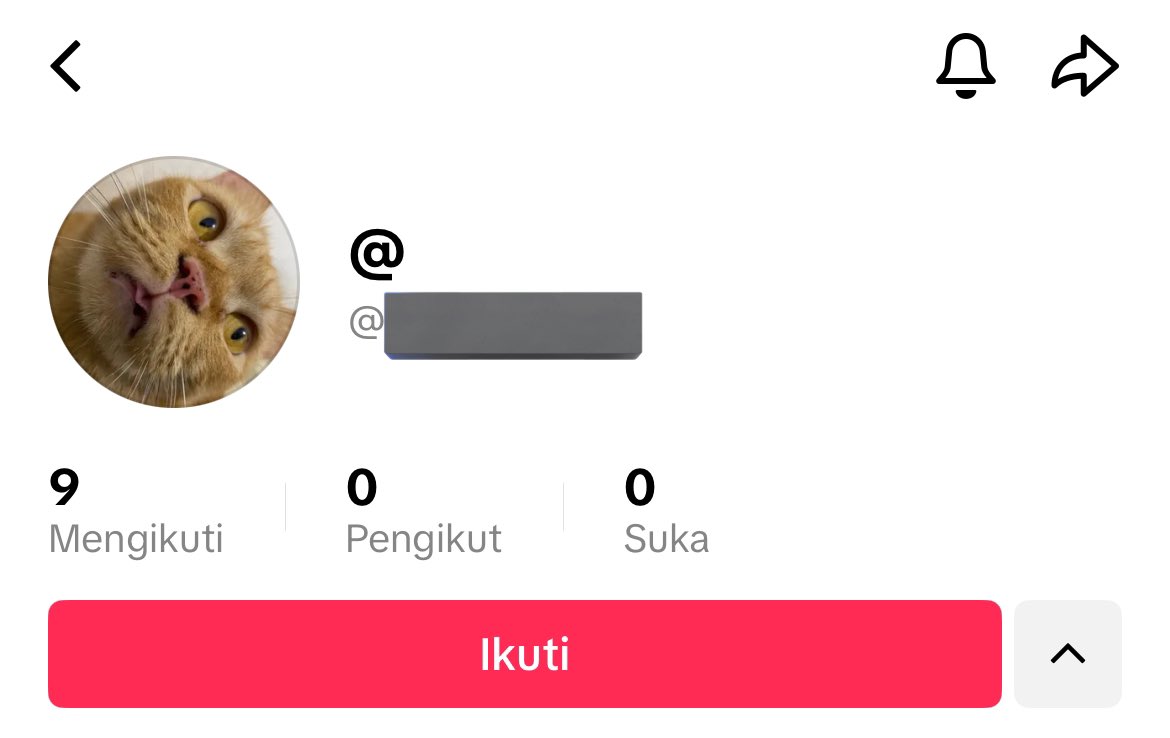 saveentin's tweet image. ini siapa, dan kenapa pakai foto dedek eti 😕