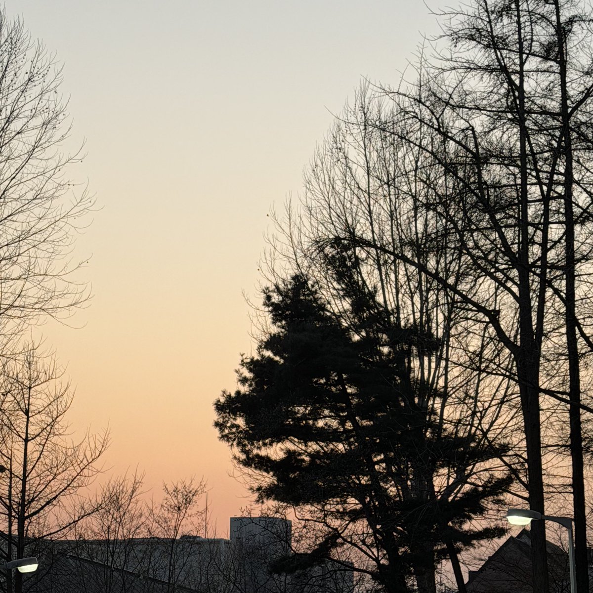 lingernight's tweet image. 