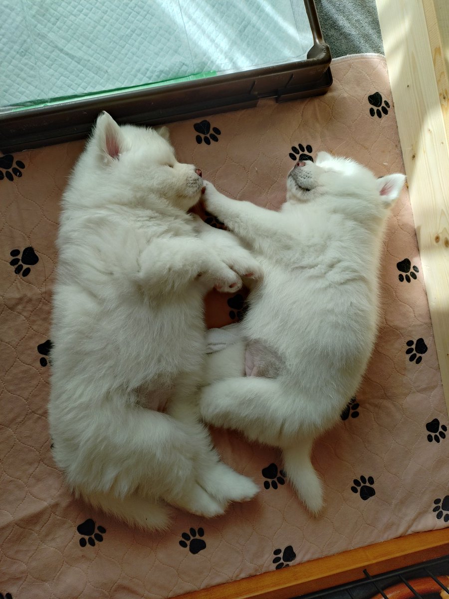 ْ (@65907_30_4) / Posts / X