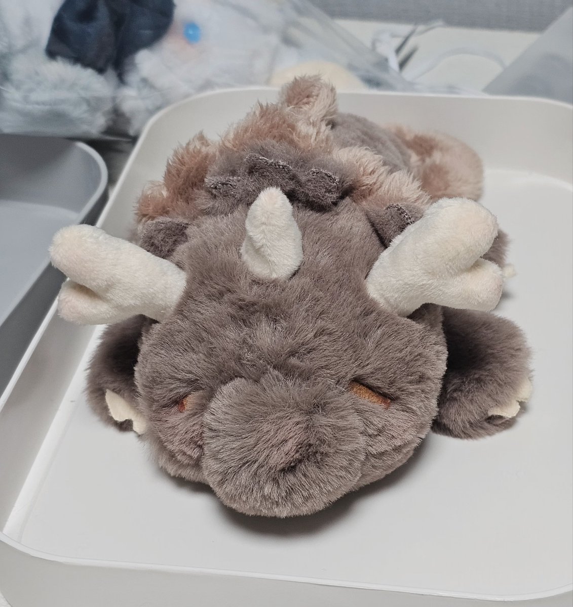 뭐든 만들어드립니다 이벤트
여러분이 좋아하시는 사물, 동물 식물 등을 한분 추첨하여 인형화 해 만들어드려요
알티 눌러주시고 인용에 사진 올려주심 한분 추첨해 만들어드려요! 

알티 1천이 넘을 시 진행합니다. 후기 필수에요!!!
캐릭터가 꼭 아니어도 좋아요!

#이벤트