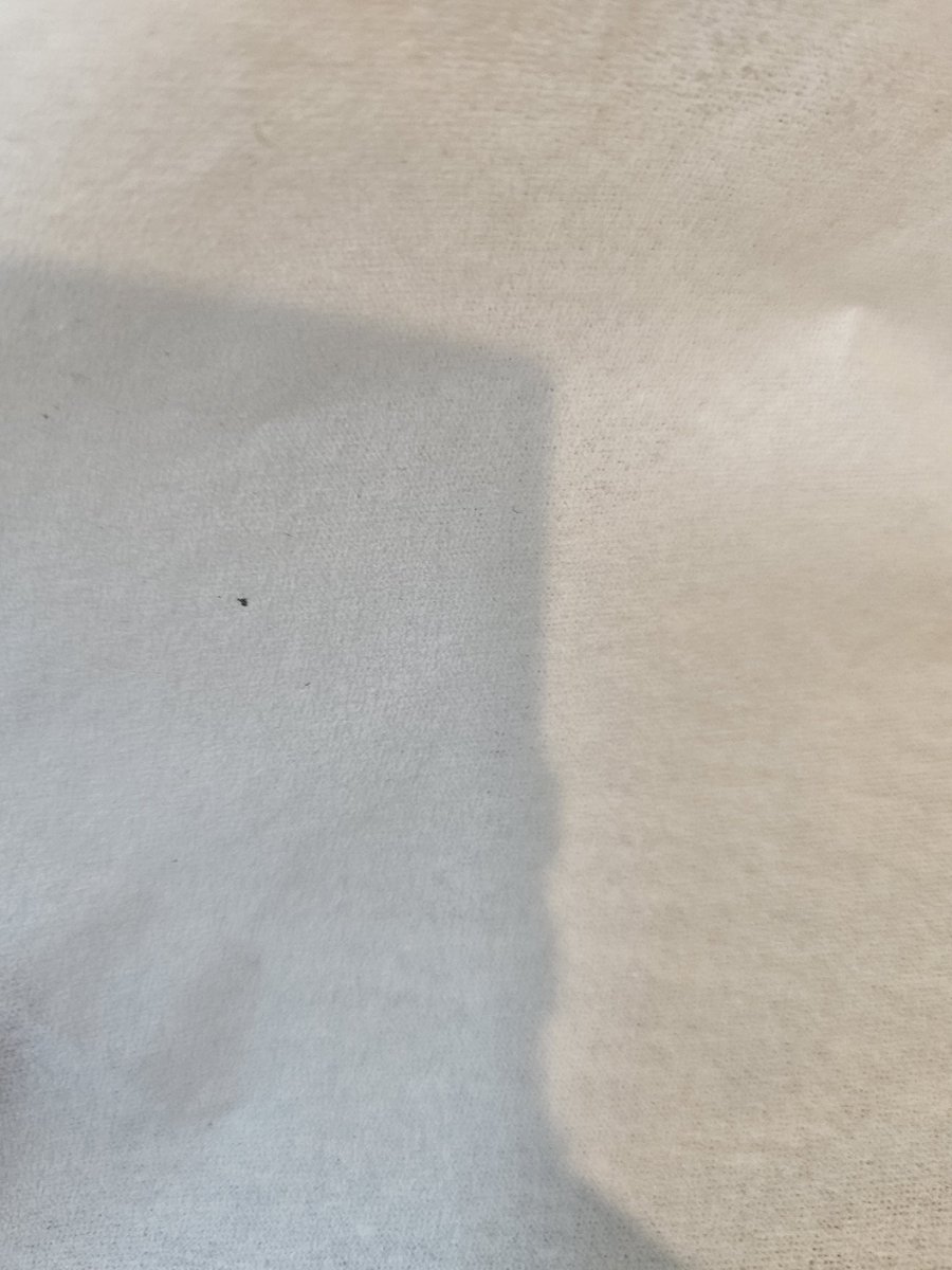 尼罗河小鳄鱼 tweet media