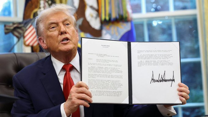 Discover tweet media