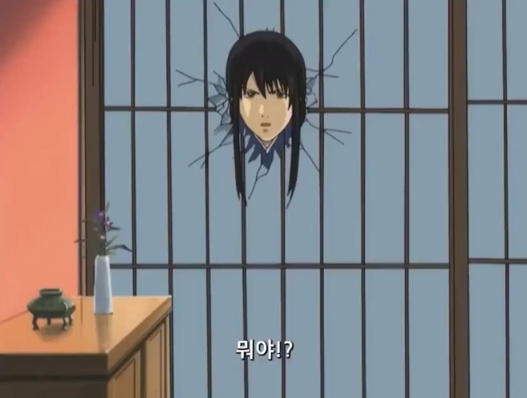 이런 게 벽고?인가요?