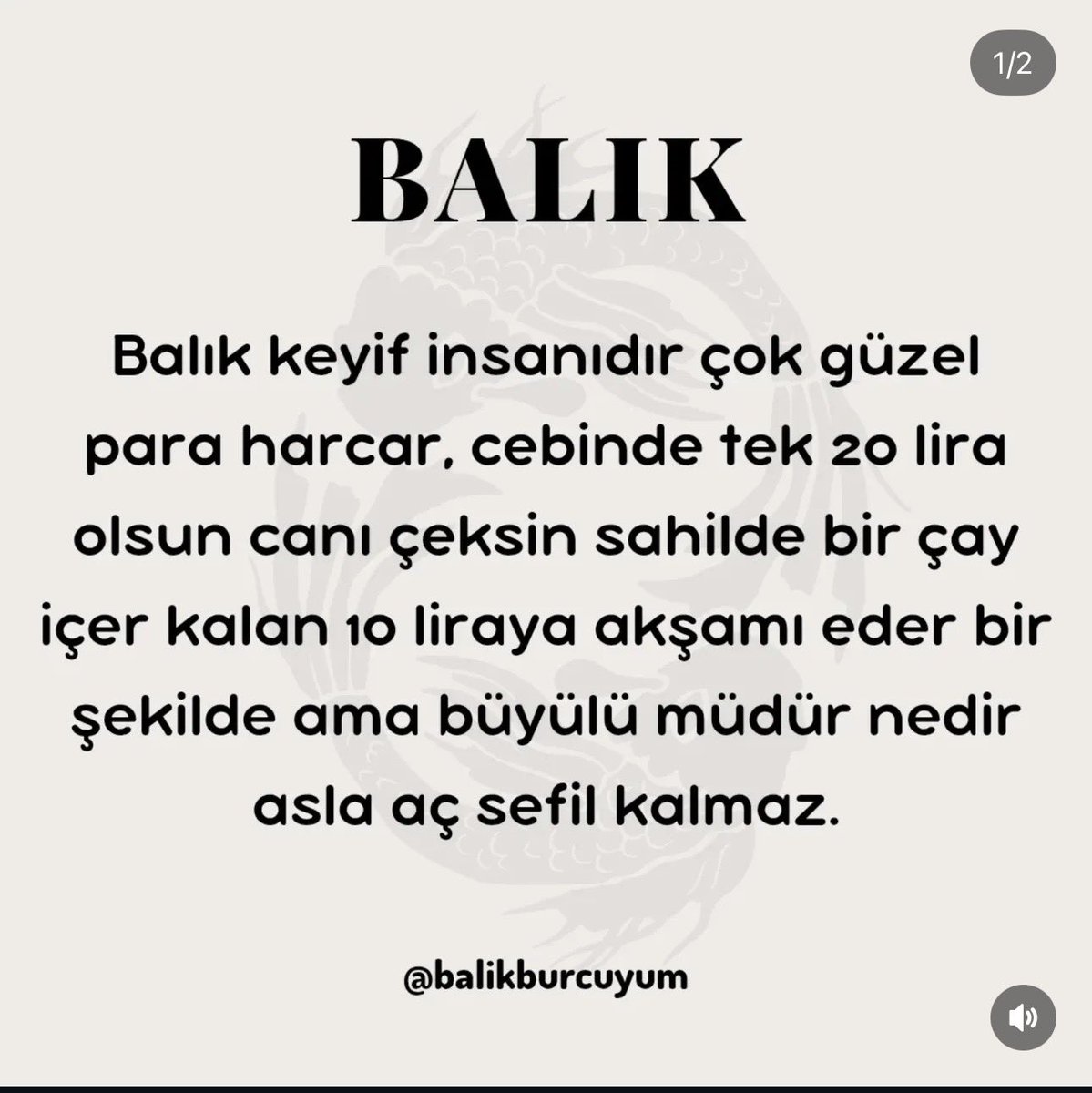 AltokMutlu tweet picture