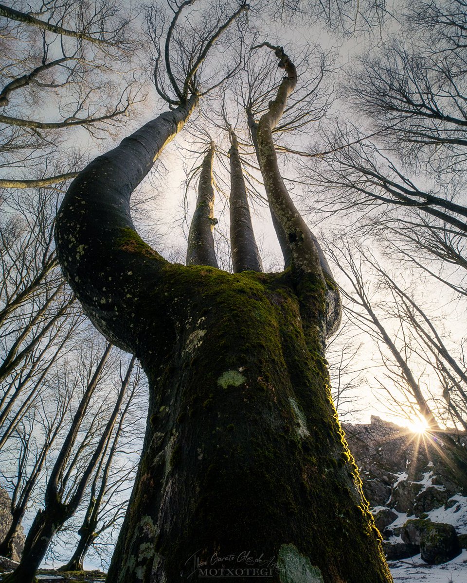 Urkiolako Parke Naturala.
